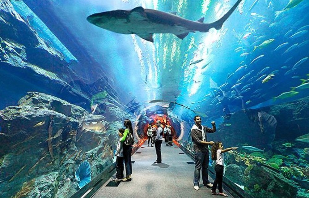 Underwater World Pattaya
